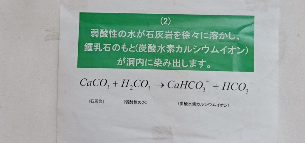 炭酸水素カルシウムイオンの生成